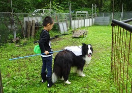 ころつかまった