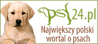 psy, rasy psów, ogłoszenia o szczeniakach, psy rasowe, wszystko o psach