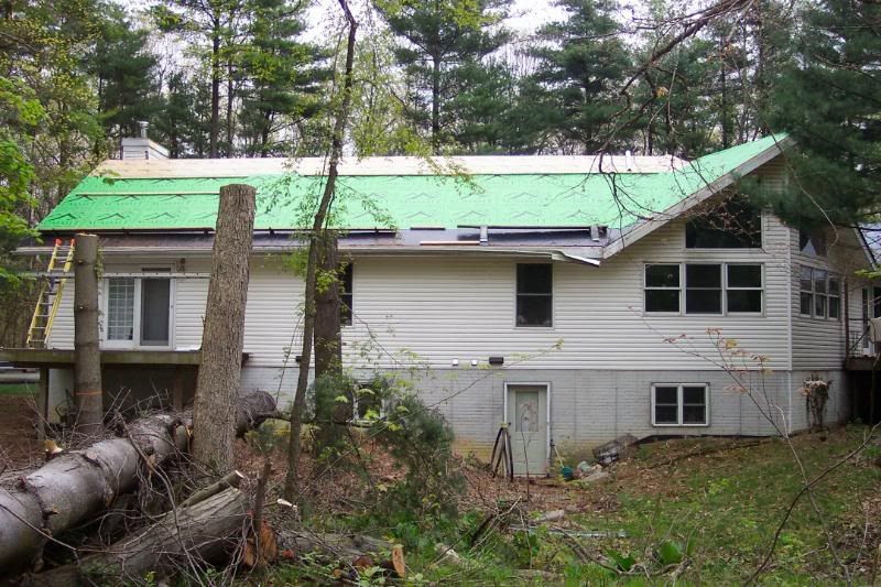 roof back green 2