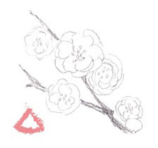 大人の水彩画レッスン パステル ワンポイント 桜や梅の花スケッチ