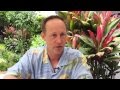 Financial Planner Roles And Responsibilities - Good to Know: Financial Planning, CFP® Certificants, and ... : Their duties include discussing finances and financial goals with clients, developing financial strategies for clients and reporting on financial progress.