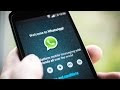 Whatsapp: Saiba como usar com VPN e burlar bloqueio de Operadoras 