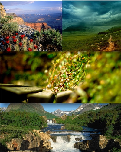 Wallpapers with beautiful views of nature
