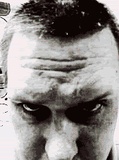 Todd shuns conventional video