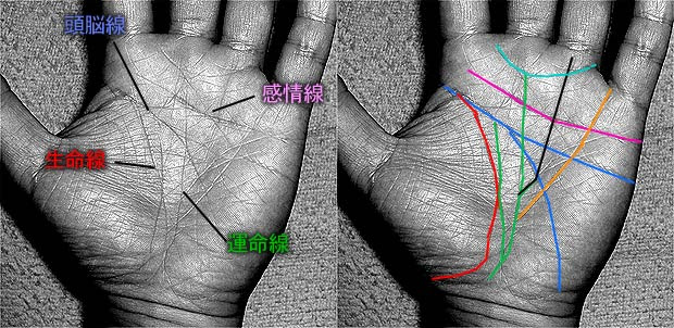 運命線が4本ある男 ザビエル カトーの いい加減に生きてます