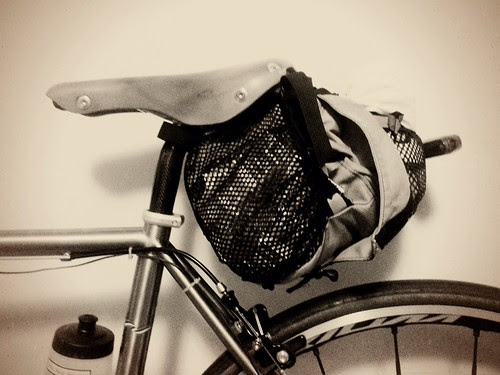 Dill Pickle Packed, Dirigo Dynamo