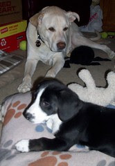 Zeus_Addison_21412b