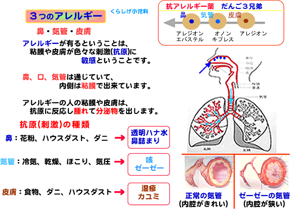 施設案内 くらしげ小児科