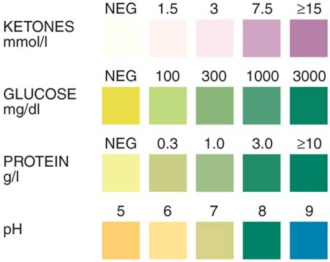  urinalysis test strip color chart learnparallaxcom urine reagent test