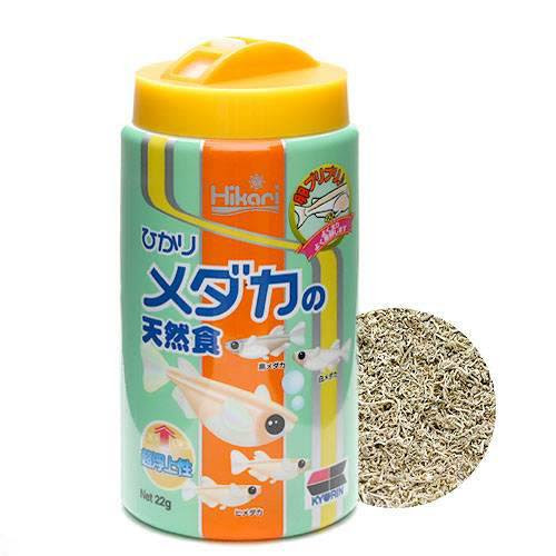メダカはイトミミズが大好物 メダカの飼育 Com メダカの飼育情報が満載