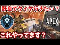 Apex 野良 332378