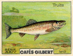 gilbert rivière 12