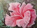 Pink Hibiscus oil painting miniature