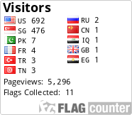 Flag Counter