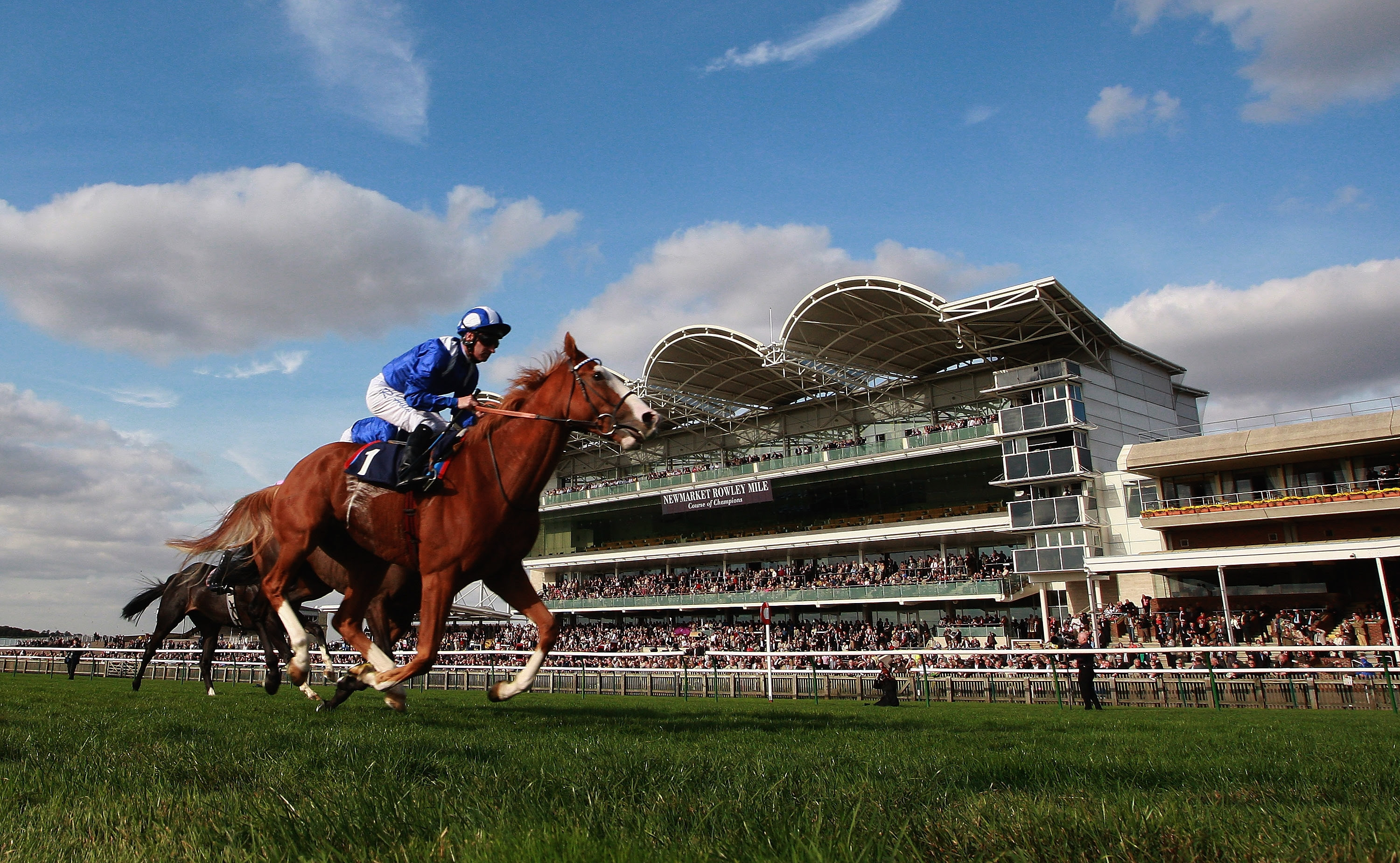 This race is at the mercy of Alrasm, who should make all. If only ...