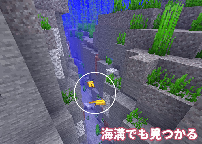 マイクラ ウーパールーパーの生態調査 洞窟アプデで実装されたmob マイクラモール