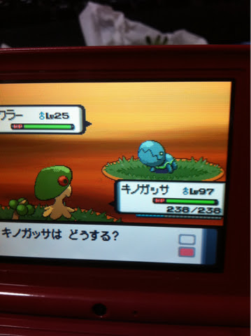 色ナックラー 色違いいつ出るんだよ