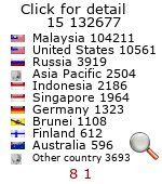 website counter