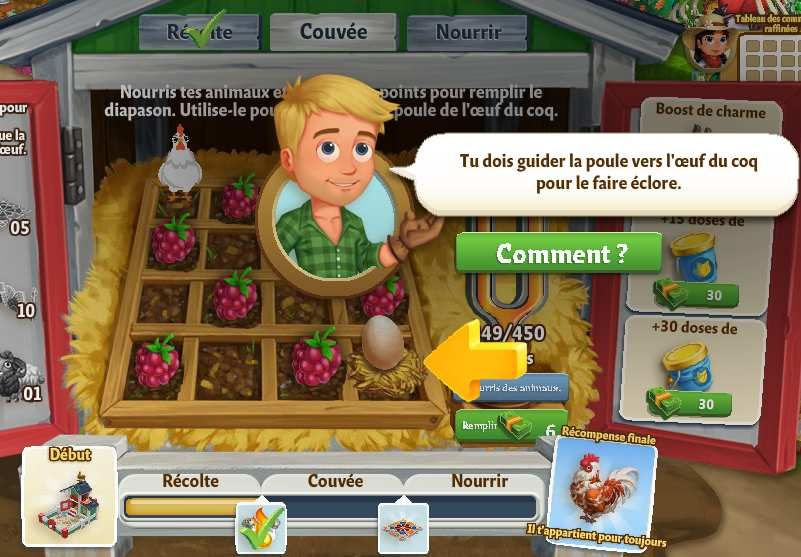 mission coq (2eme partie)