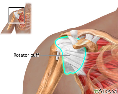 Rotator Cuff