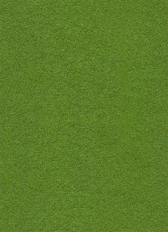 アニメ画像について 驚くばかり芝生 イラスト フリー素材