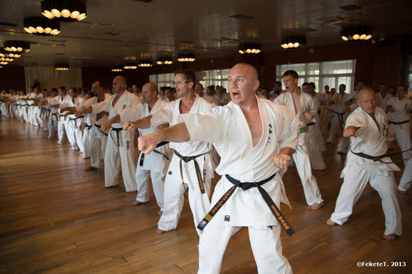 World Karate Report 2013-Hungary | World Karate Organization