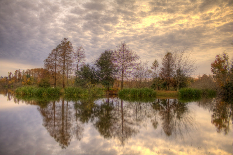 university of florida campus. in December. This is Lake