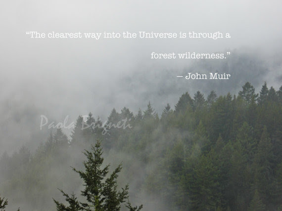 FOG QUOTES image quotes at relatably.com