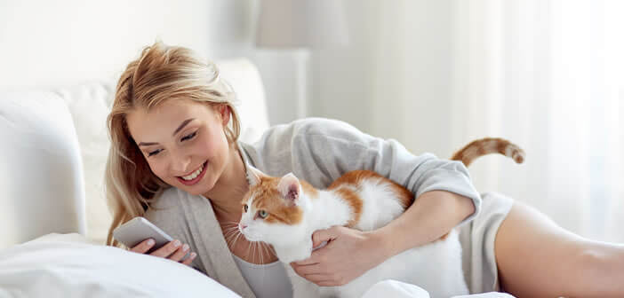 Meow Talk L Application Qui Traduit Les Miaulements Des Chats