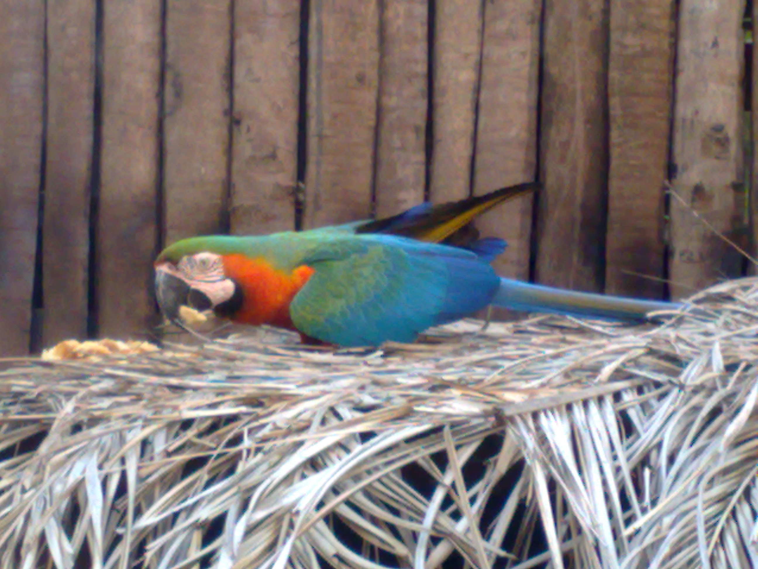 20072009422.jpg