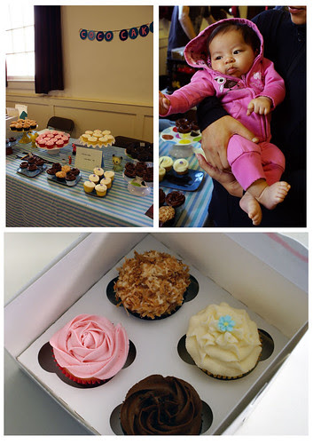 coco cake cupcakes at blim!