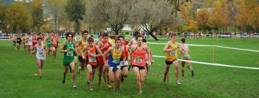 Campeonato Municipal de Atletismo - Estrada e Corta-Mato
