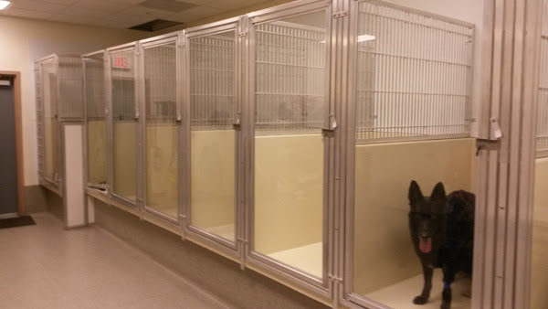 Northgate Veterinary Supply - ULTRACAGE Veterinary Cages ...