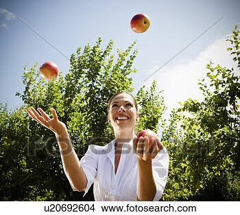Banco de Imagem - mulher, juggling, 
maçãs, pomar. 
fotosearch - busca 
de fotos, imagens 
e clipart