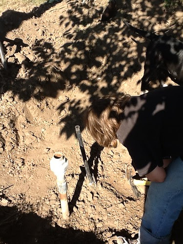 : Hole diggin