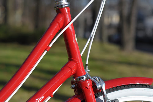 Bobbin Birdie