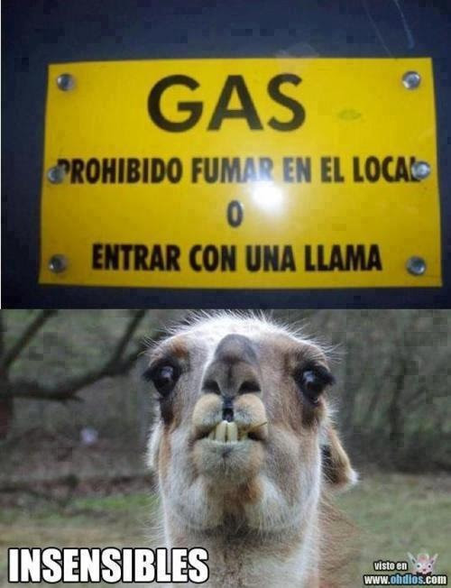 Ola K Ase Meme By Germaneitor 1234 Memedroid