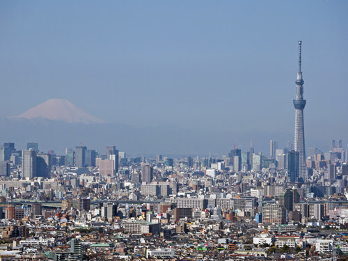 むらさんのたいくつな日々 富士山と東京スカイツリーと