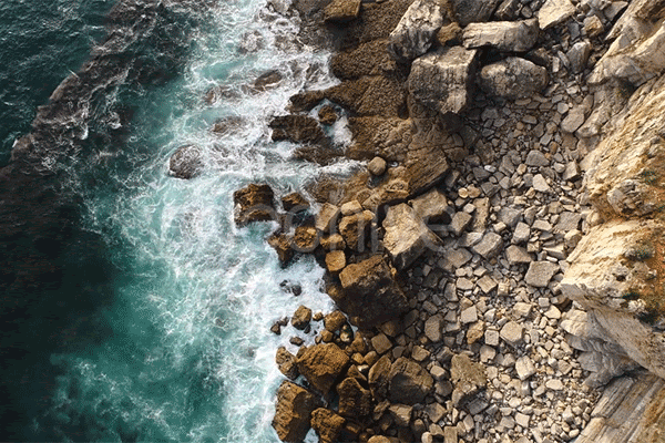 Nature Stock Footage