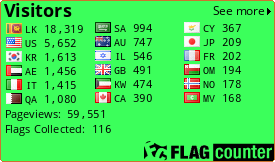Flag Counter