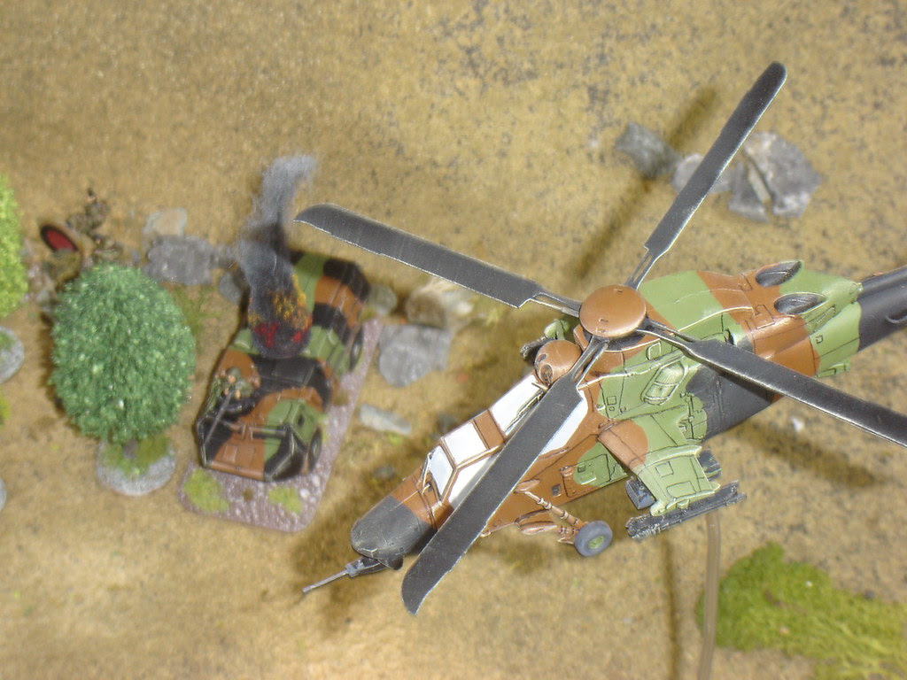 Tiger finds only three French still fighting