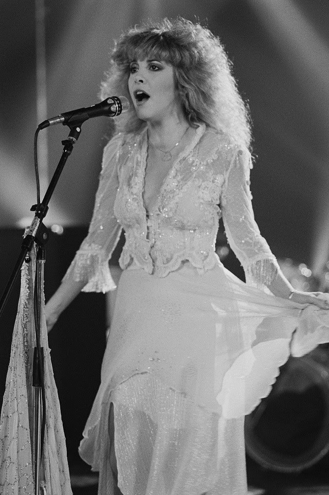 stevie nicks style