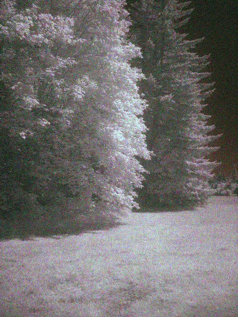 McIver State Park