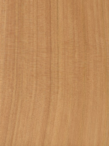 Alligator Juniper The Wood Database - Lumber 