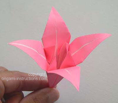 And now your origami lily is