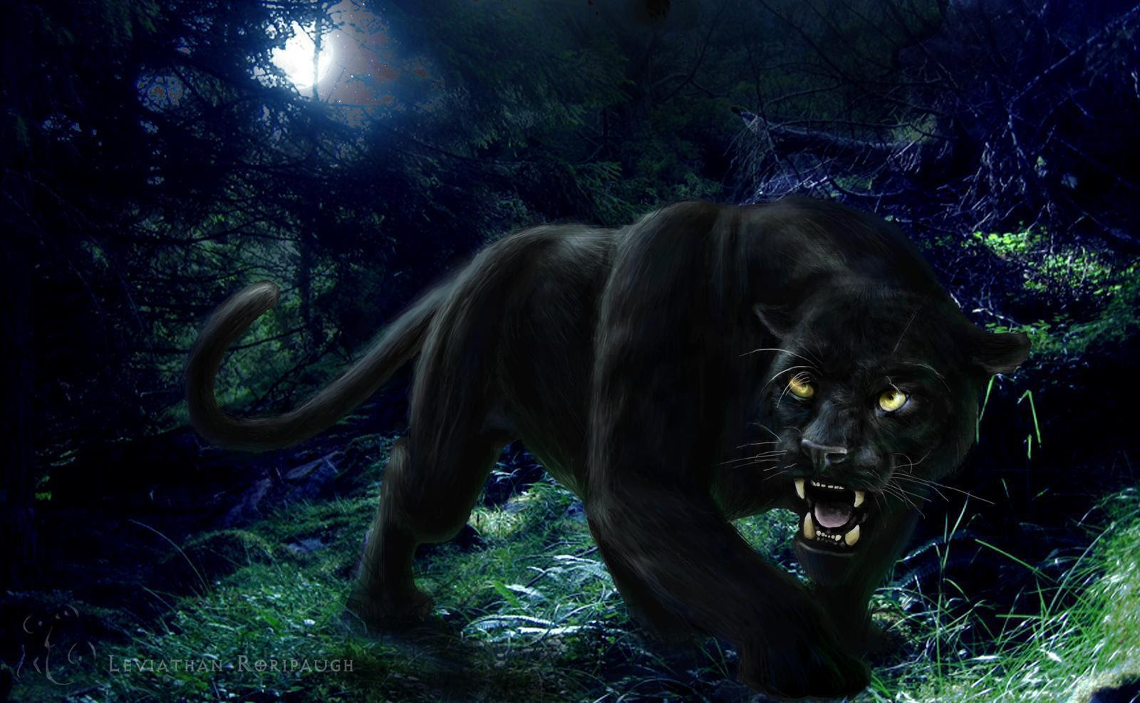  Black  Panther  Backgrounds  Wallpaper  Cave