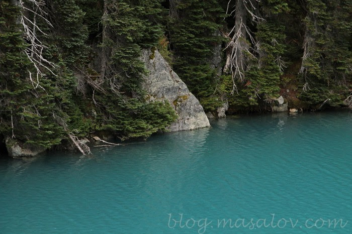 IMG_9391 copy
