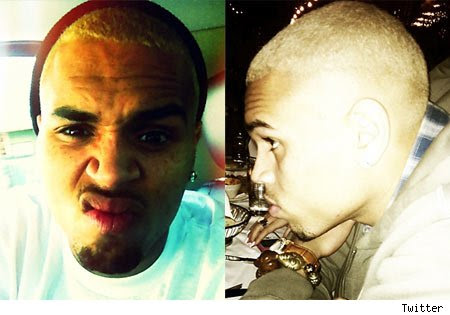 ariana grande victorious_06. chris brown blonde hair.
