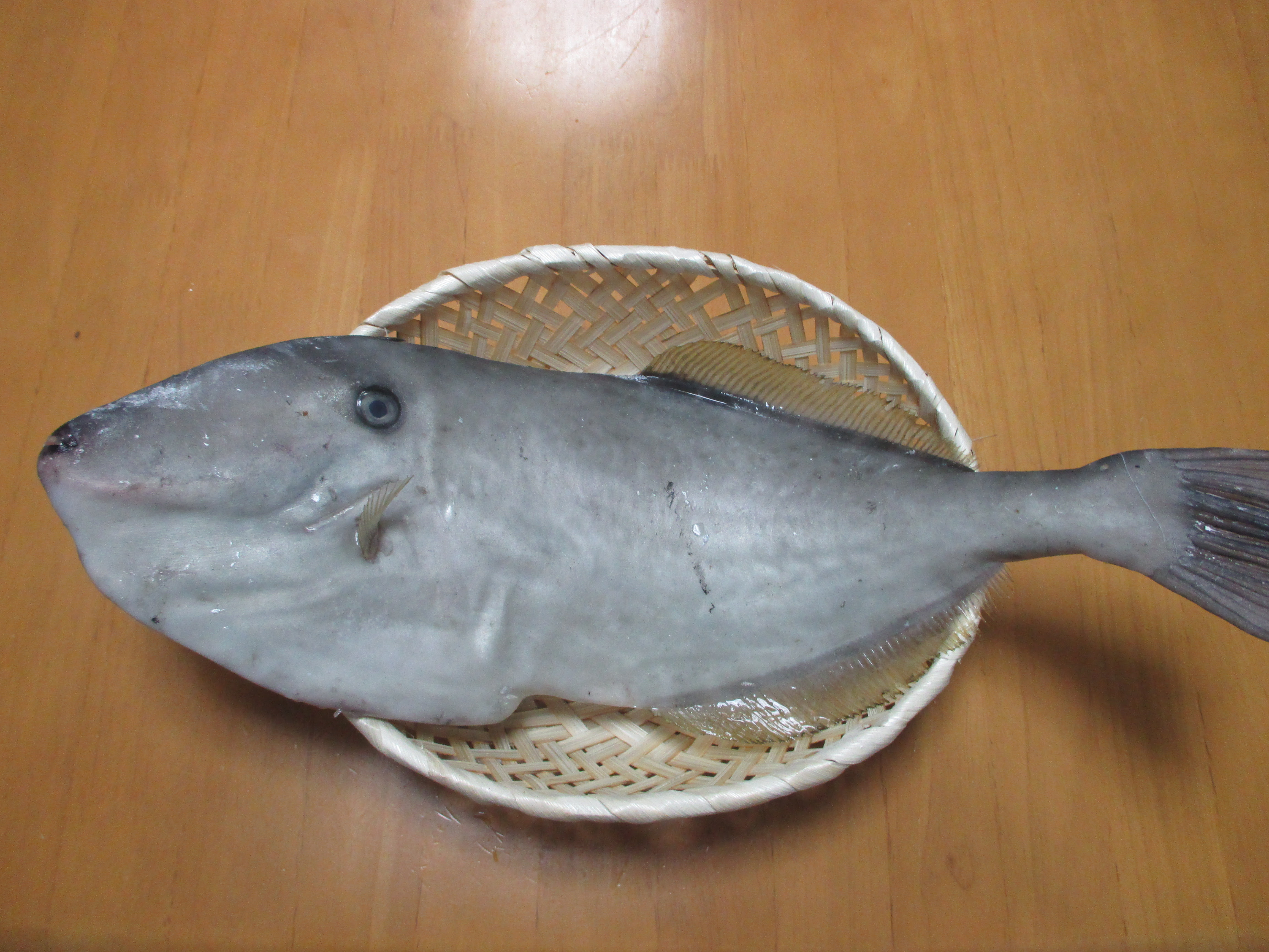 漁師さん直送市場 家庭用 鮮魚通販 漁師さんが今朝獲れた鮮魚を産地直送