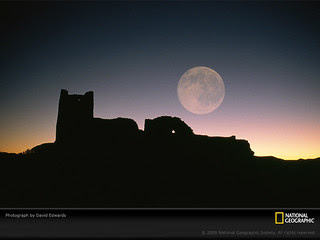 無料 ナショナルジオグラフィック壁紙 マイルド男